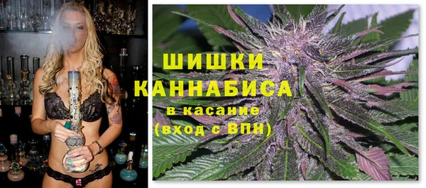 прущие грибы Армянск
