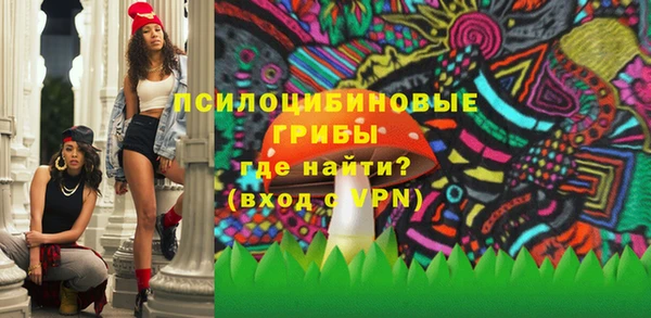 прущие грибы Армянск