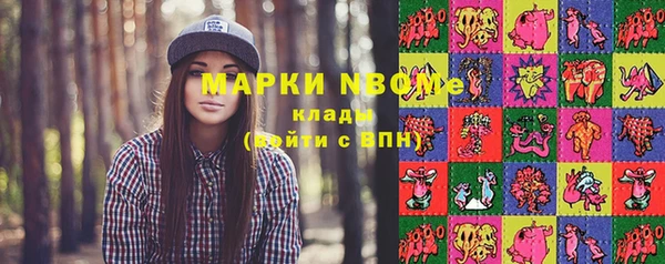 прущие грибы Армянск