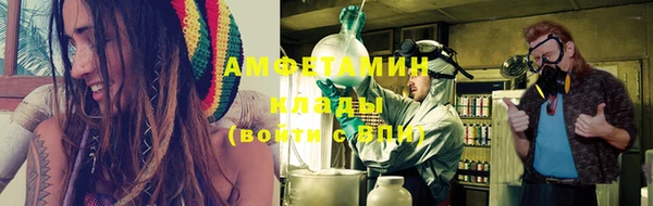 прущие грибы Армянск