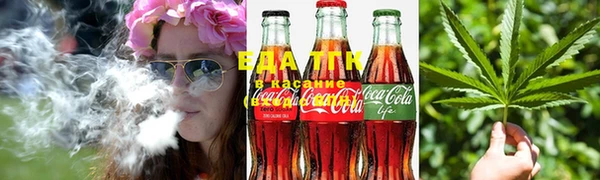 прущие грибы Армянск
